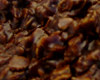 Biscuit Gruau Chocolat