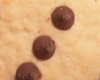 Biscuit Halloween