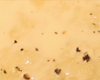 Biscuit Hollandais