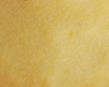 Biscuit Infantile