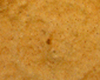 Biscuit Japonais