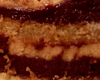 Biscuit Joconde Opra