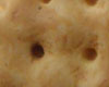 Biscuit Light