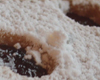 Biscuit Lunette