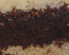 Biscuit Napolitain