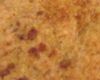 Biscuit Nature