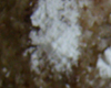 Biscuit Noisette