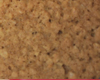 Biscuit Noix de Macadame