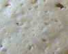 Biscuit Orange