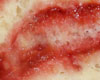 Biscuit Roul Facile