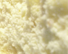 Biscuit Savoie