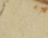 Biscuit Turc