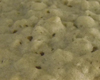 Biscuit Viennois