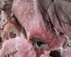 Blanquette d'Agneau Lait