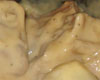 Blanquette de Veau Facile