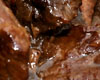 Boeuf  la Bire au Four