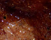 Boeuf au Vin Rouge