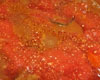 Boeuf Mironton Tomate