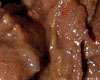 Boeuf Stroganoff