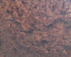 Brioche au chocolat