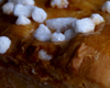 Brioche au sucre