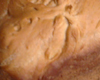 Brioche avec Machine  Pain