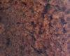 Brioche Chocolat