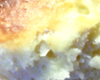 Brioche Classique