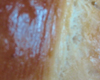 Brioche Crme Fraiche