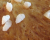 Brioche des Rois