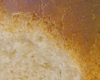 Brioche Dukan