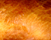 Brioche en Machine  Pain