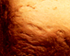 Brioche en Machine