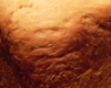 Brioche Machine