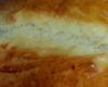 Brioche Normande