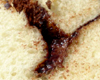 Brioche Nutella