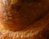 Brioche Parisienne