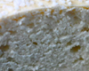 Brioche Sans Lait