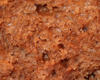 Brioche Tout Chocolat