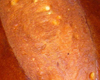 Brioche Viennoise