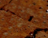Brownies Americain