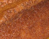 Brownies au chocolat au lait