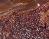 Brownies au Nutella