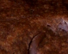 Brownies Individuels