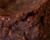 Brownies Noisette