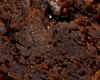 Brownies Pistache