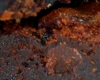 Brownies Sans Farine