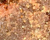 Brownies Sans Gluten