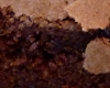Brownies Vite Fait