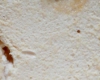 Buche de Noel Dukan